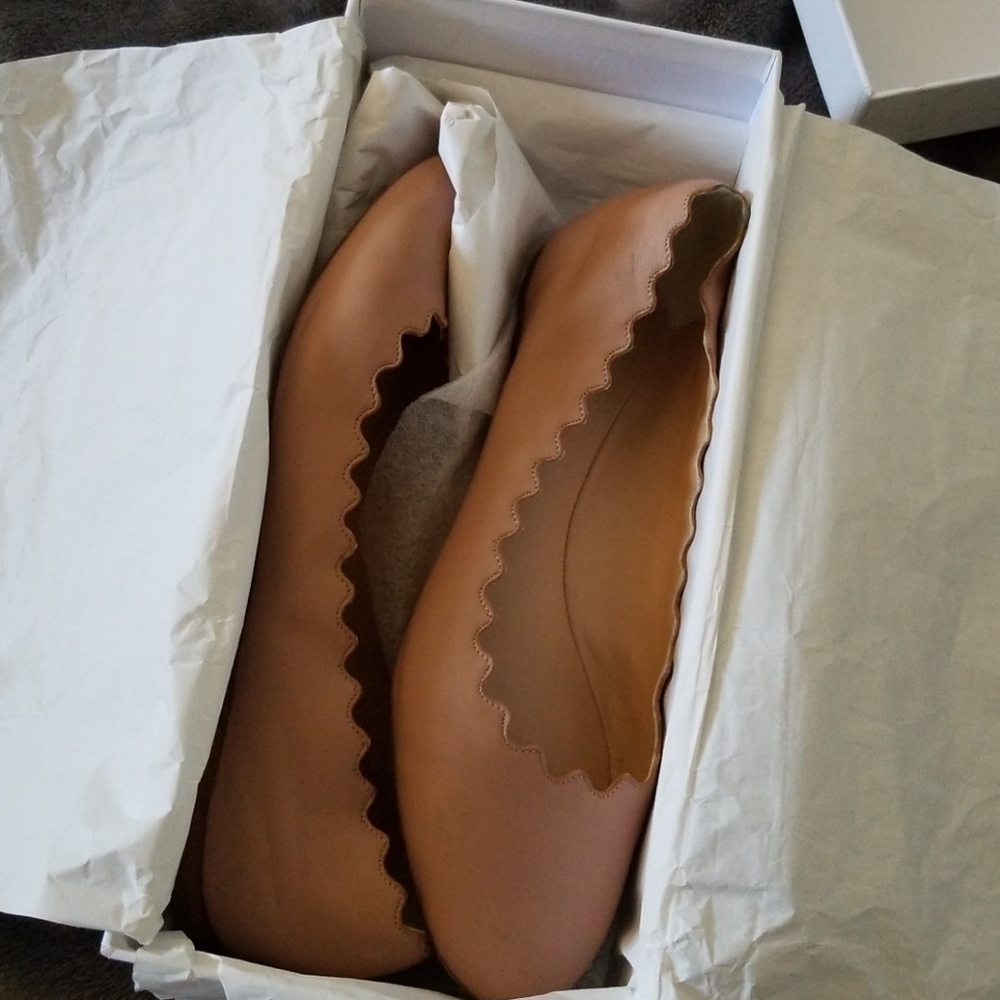 Chloe Scallop flats